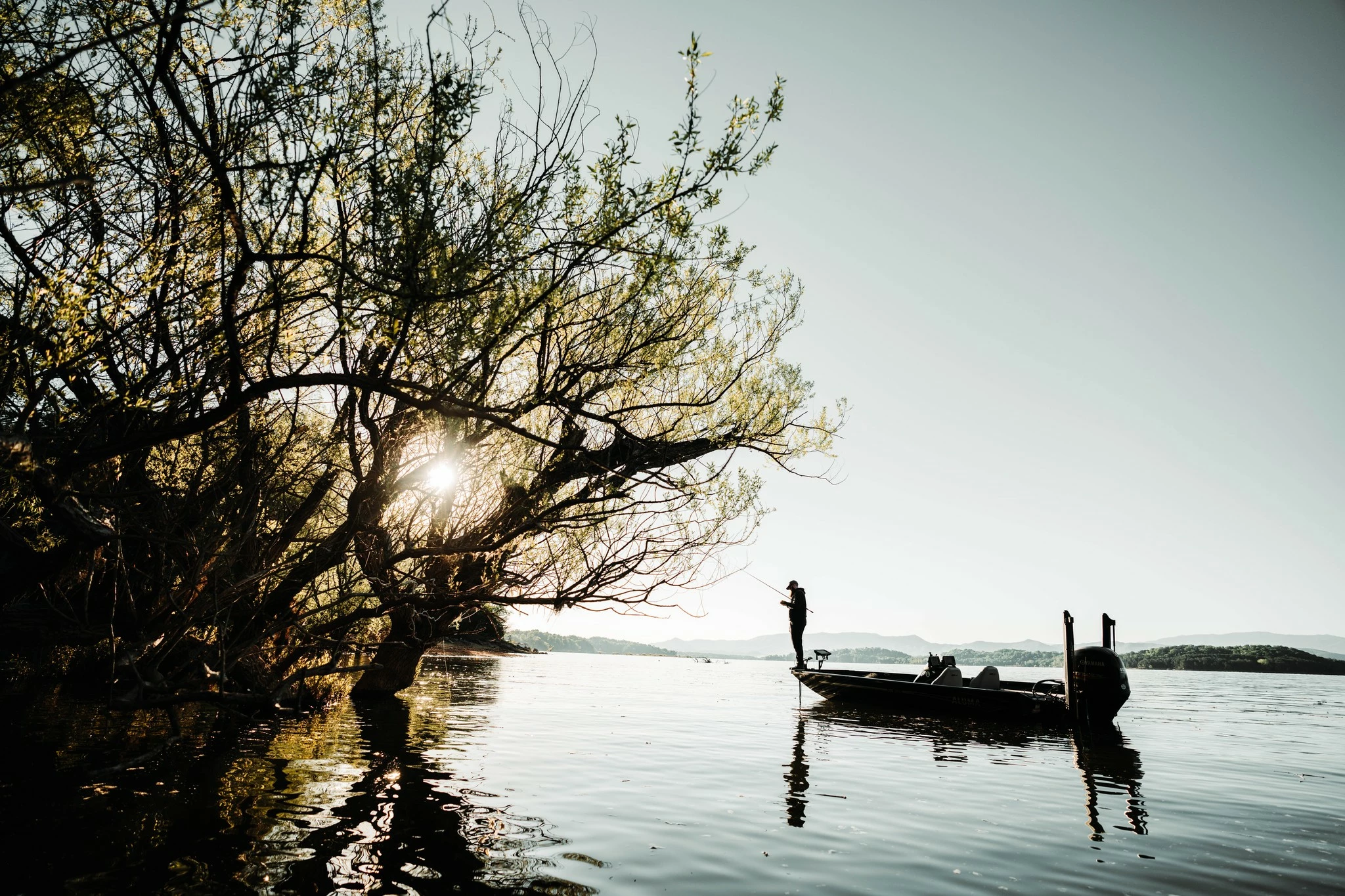 Vaste Hengels Verkoop -Vaste Hengels Verkoop 281882462 104341668953833 3144068634469166133 n